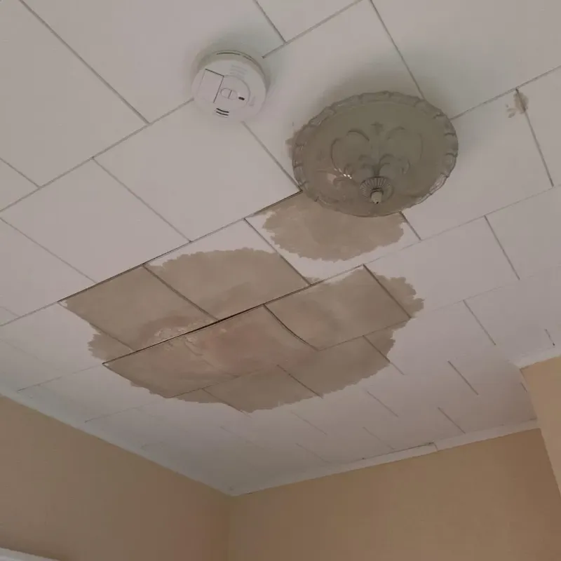 Ceiling Water Damage Repair in Wayland, MA